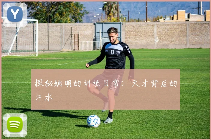 探秘姚明的训练日常：天才背后的汗水